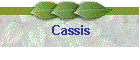 Cassis