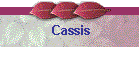 Cassis