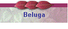 Beluga