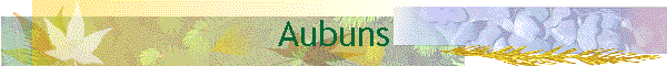 Aubuns