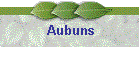 Aubuns