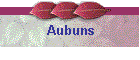 Aubuns