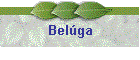 Belga